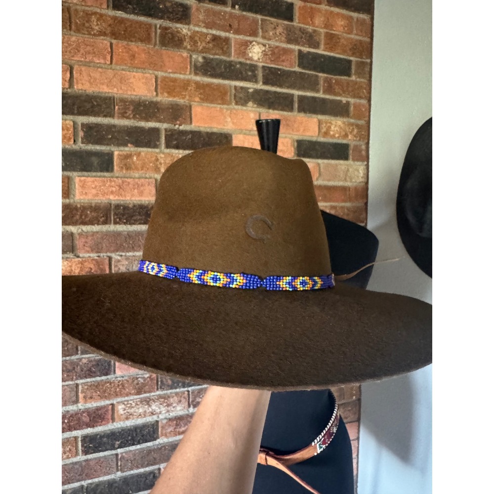 Charlie 1 Horse Brown Wool Felt Western Hat Beaded‎ Band Wide Brim Womens Large